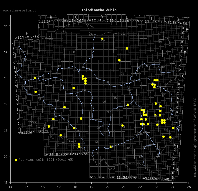 wystepowanie - Thladiantha dubia (ziemniaczka sercowata)