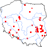 wystepowanie - Thladiantha dubia (ziemniaczka sercowata)