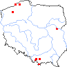 wystepowanie - Barbarea intermedia (gorczycznik pośredni)