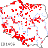 wystepowanie - Barbarea stricta (gorczycznik prosty)