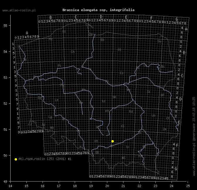 wystepowanie - Brassica elongata ssp. integrifolia (kapusta chrzanolistna całolistna)