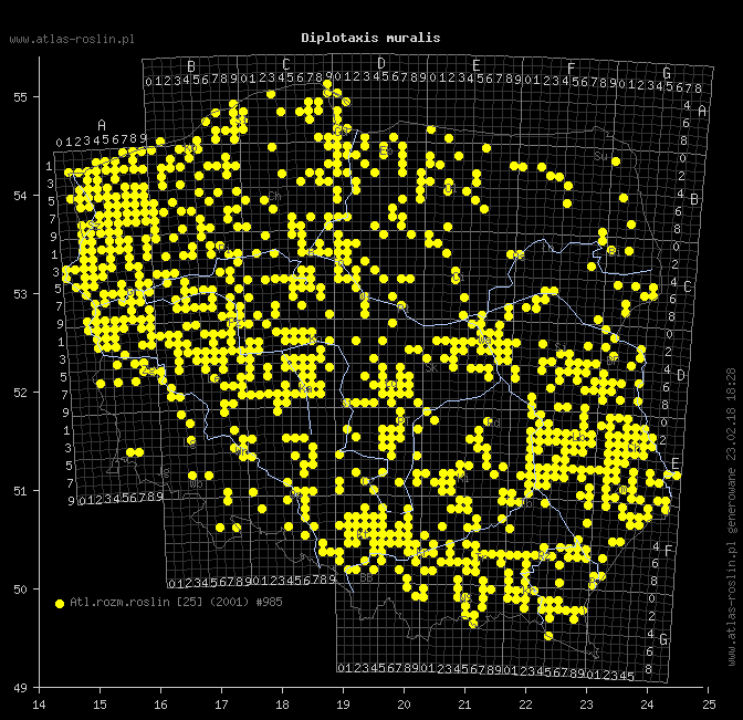 wystepowanie - Diplotaxis muralis (dwurząd murowy)