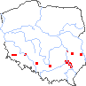 wystepowanie - Erysimum diffusum (pszonak siwy)