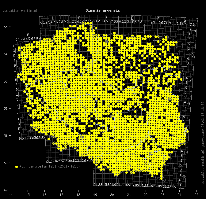 wystepowanie - Sinapis arvensis (gorczyca polna)