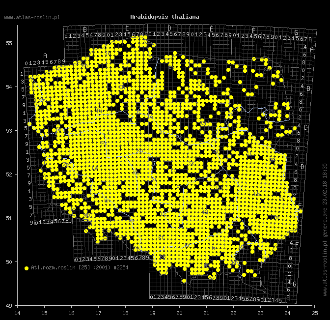 wystepowanie - Arabidopsis thaliana (rzodkiewnik pospolity)