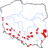 wystepowanie - Conringia orientalis (pszonacznik wschodni)