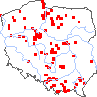 wystepowanie - Erucastrum gallicum (rukwiślad francuski)