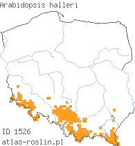 wystepowanie - Arabidopsis halleri (rzodkiewnik Hallera)