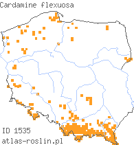 wystepowanie - Cardamine flexuosa (rzeżucha leśna)