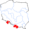 wystepowanie - Cardamine trifolia (rzeżucha trójlistkowa)