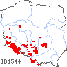 wystepowanie - Dentaria enneaphyllos (żywiec dziewięciolistny)