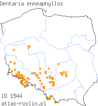 wystepowanie - Dentaria enneaphyllos (żywiec dziewięciolistny)