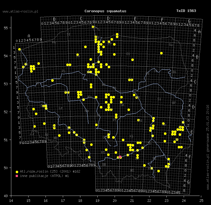 wystepowanie - Coronopus squamatus (wronóg grzebieniasty)
