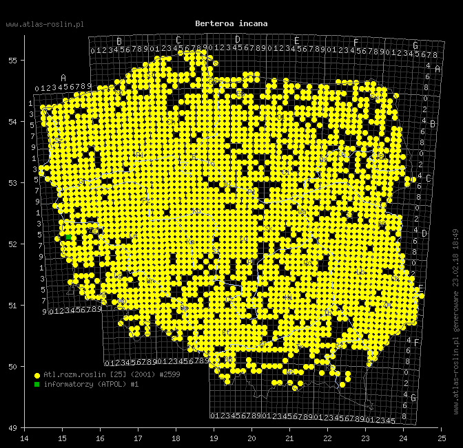 wystepowanie - Berteroa incana (pyleniec pospolity)