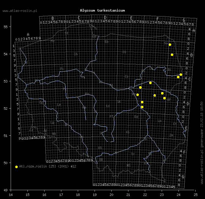 wystepowanie - Alyssum turkestanicum (smagliczka drobna)