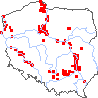 wystepowanie - Alyssum montanum (smagliczka pagórkowa)