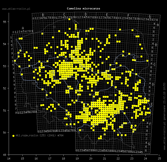 wystepowanie - Camelina microcarpa (lnicznik drobnoowocowy)