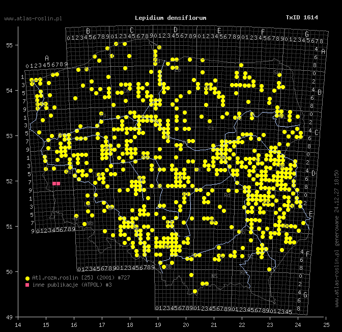 wystepowanie - Lepidium densiflorum (pieprzyca gęstokwiatowa)