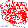 wystepowanie - Lepidium densiflorum (pieprzyca gęstokwiatowa)