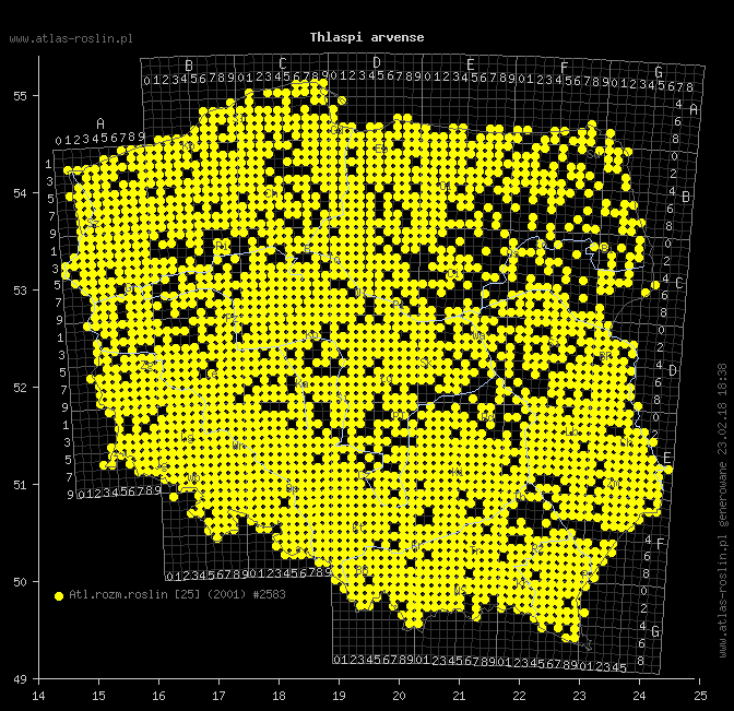 wystepowanie - Thlaspi arvense (tobołki polne)