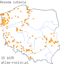 wystepowanie - Reseda luteola (rezeda żółtawa)