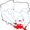 wystepowanie - Myricaria germanica (września pobrzeżna)