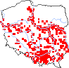 wystepowanie - Populus nigra (topola czarna)