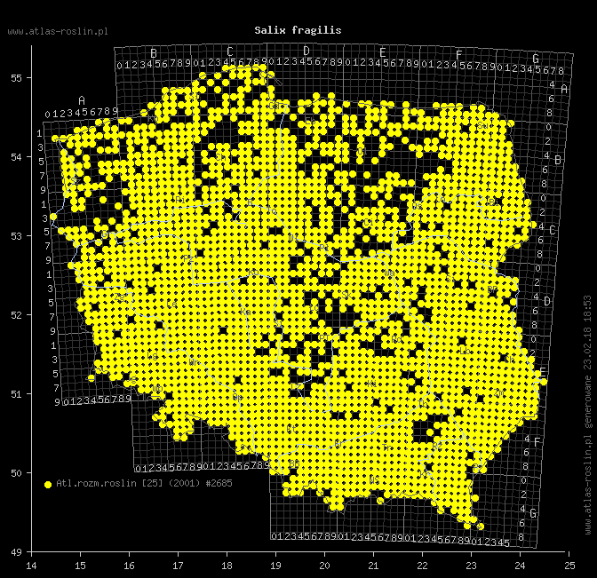 wystepowanie - Salix fragilis (wierzba krucha)