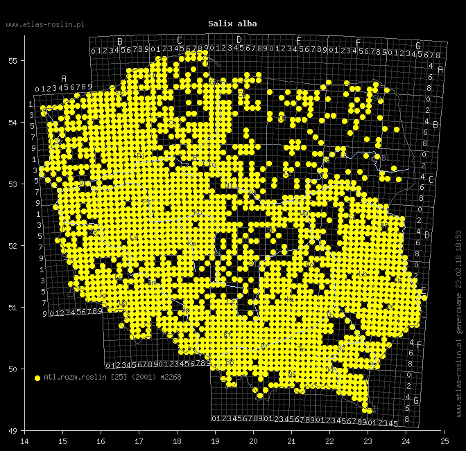 wystepowanie - Salix alba (wierzba biała)