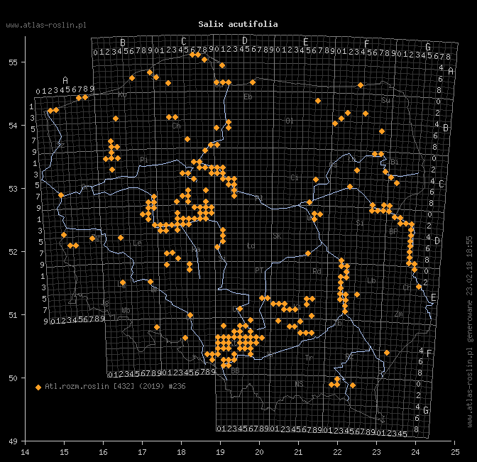 wystepowanie - Salix acutifolia (wierzba ostrolistna)