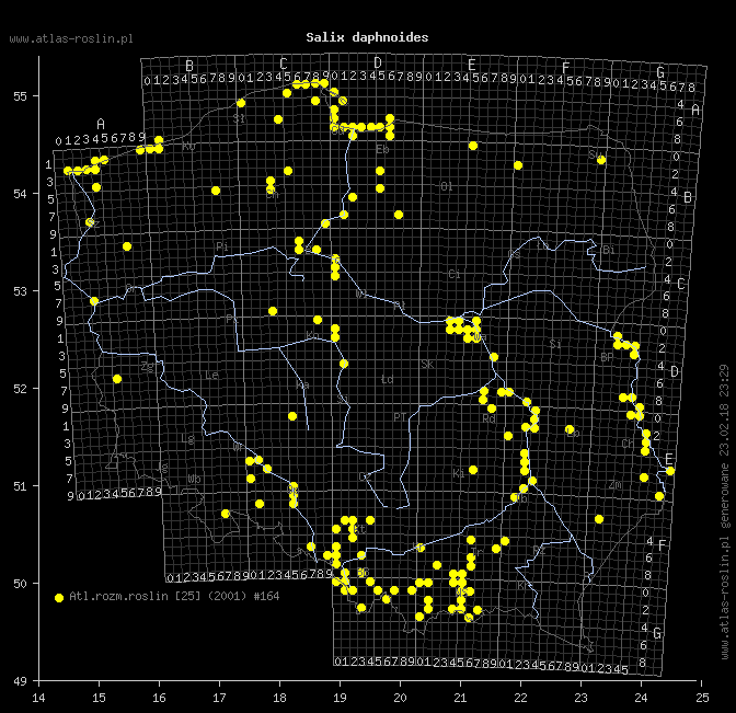 wystepowanie - Salix daphnoides (wierzba wawrzynkowa)