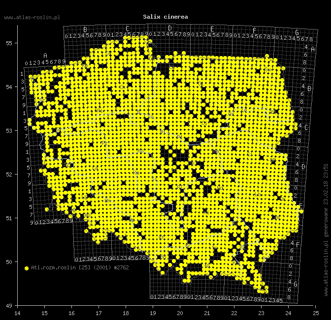 wystepowanie - Salix cinerea (wierzba szara)