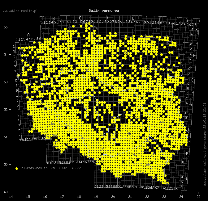 wystepowanie - Salix purpurea (wierzba purpurowa)