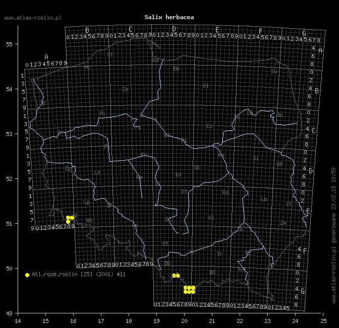 wystepowanie - Salix herbacea (wierzba zielna)
