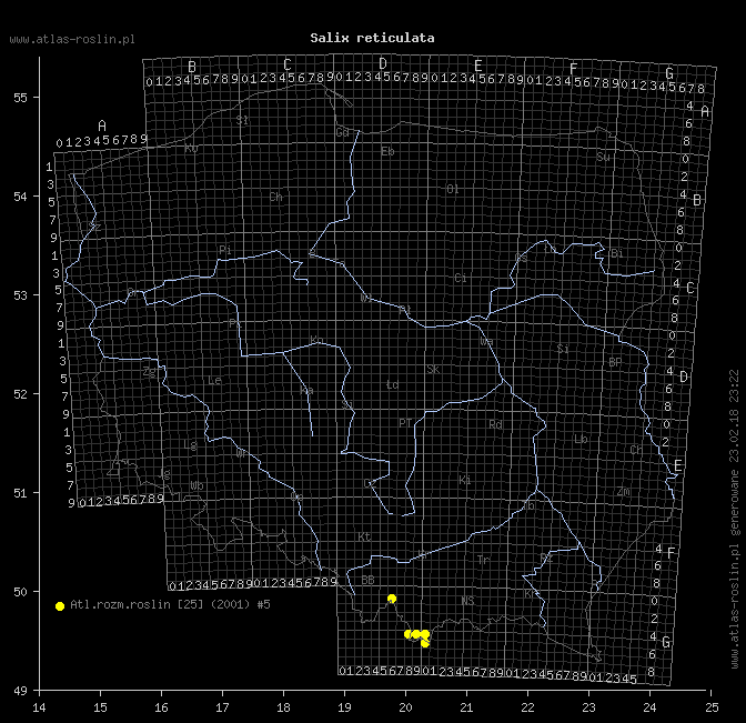 wystepowanie - Salix reticulata (wierzba żyłkowana)