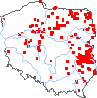 wystepowanie - Salix starkeana (wierzba śniada)