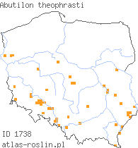 wystepowanie - Abutilon theophrasti (zaślaz pospolity)