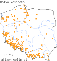 wystepowanie - Malva moschata (ślaz piżmowy)