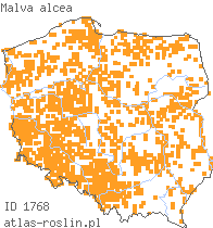 wystepowanie - Malva alcea (ślaz zygmarek)