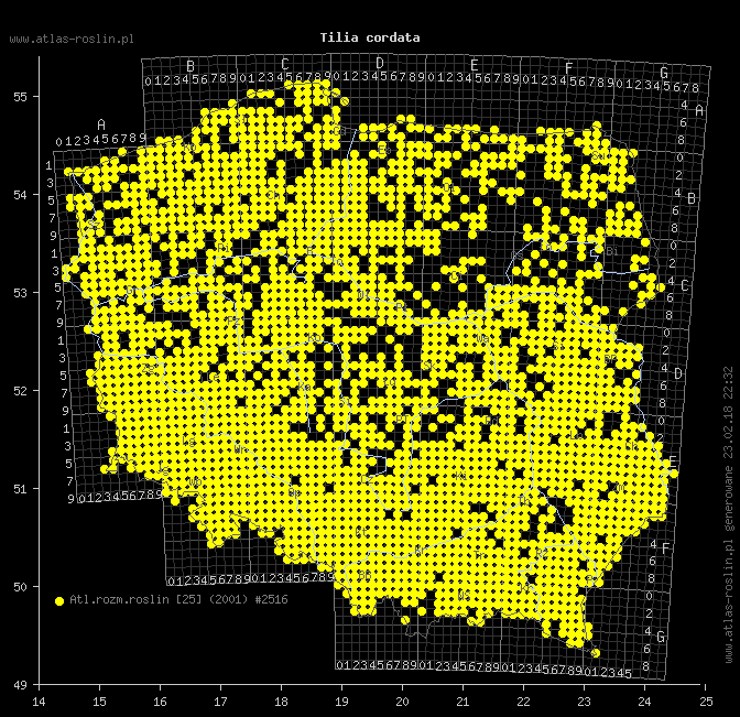 wystepowanie - Tilia cordata (lipa drobnolistna)