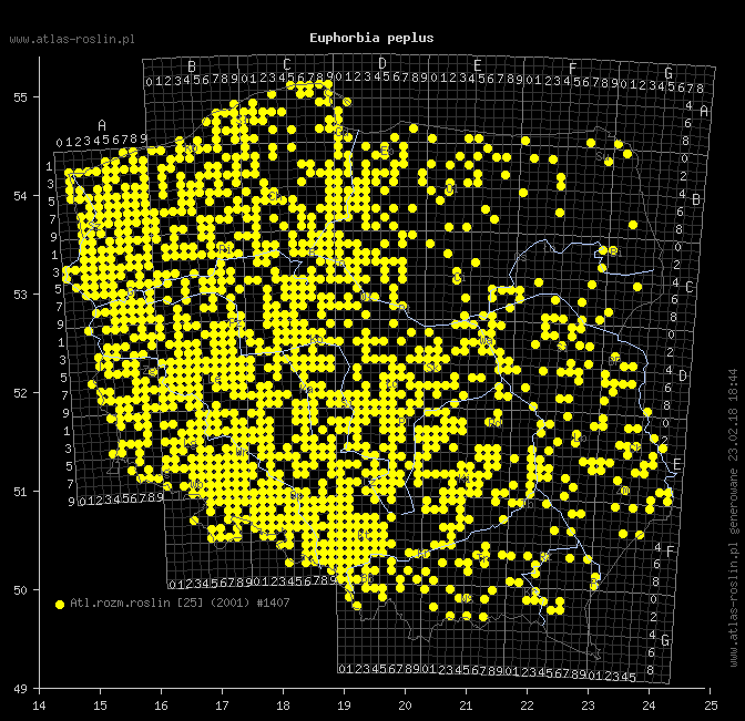 wystepowanie - Euphorbia peplus (wilczomlecz ogrodowy)