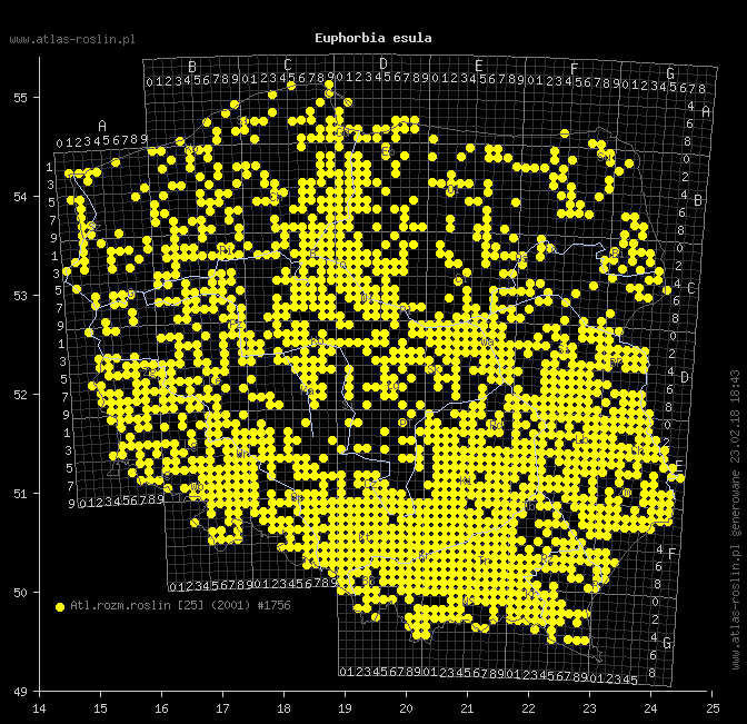 wystepowanie - Euphorbia esula (wilczomlecz lancetowaty)