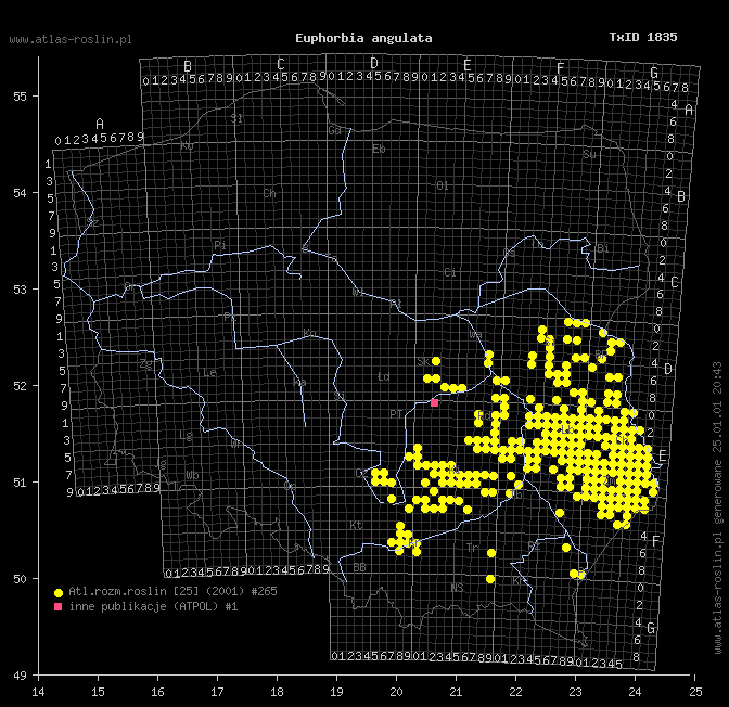 wystepowanie - Euphorbia angulata (wilczomlecz kątowy)