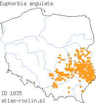wystepowanie - Euphorbia angulata (wilczomlecz kątowy)