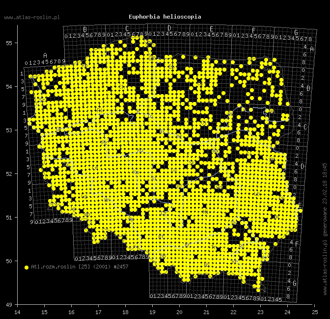 wystepowanie - Euphorbia helioscopia (wilczomlecz obrotny)