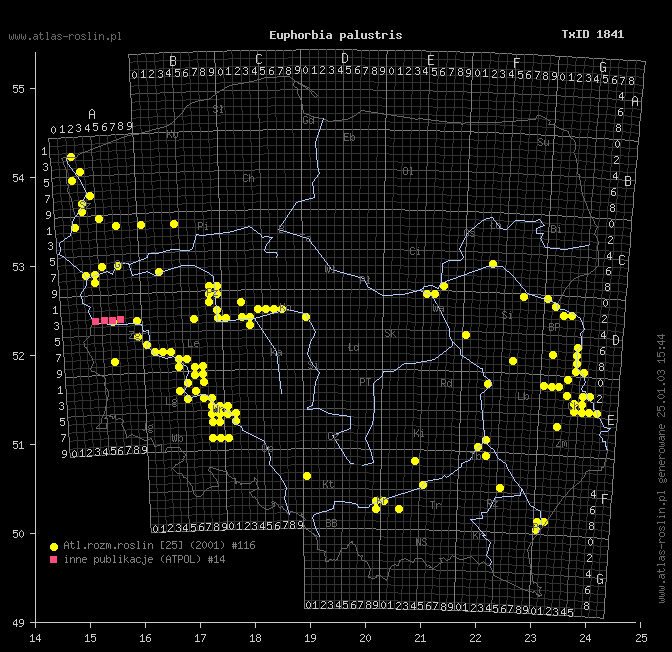 wystepowanie - Euphorbia palustris (wilczomlecz błotny)