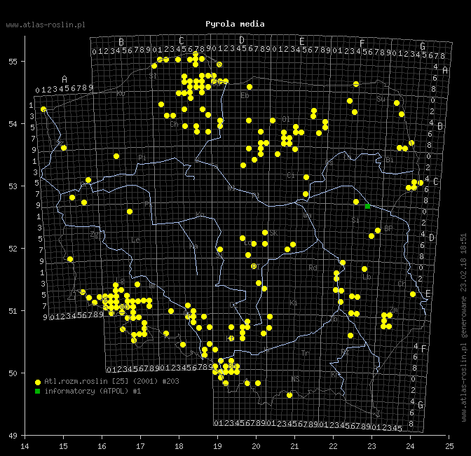wystepowanie - Pyrola media (gruszyczka średnia)
