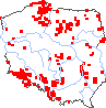 wystepowanie - Pyrola media (gruszyczka średnia)