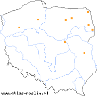 wystepowanie - Chamaedaphne calyculata (chamedafne północna)