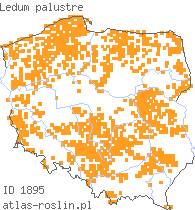 wystepowanie - Ledum palustre (bagno zwyczajne)